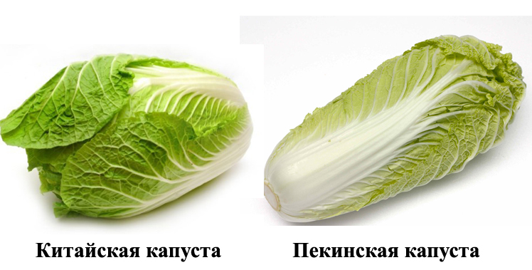 Возможно, вы не знали…
